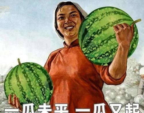 刷老婆的卡吃瓜,揭秘吃瓜背后的消费秘密  第1张